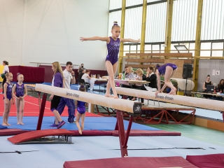 Dunaferr Kupa -Tornászverseny - fotó: Ónodi Zoltán