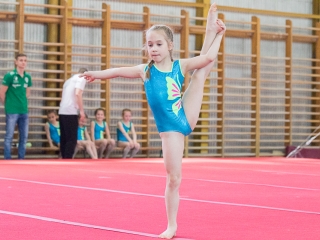 Dunaferr Kupa -Tornászverseny - fotó: Ónodi Zoltán