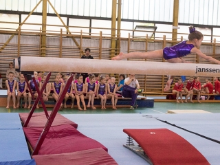 Dunaferr Kupa -Tornászverseny - fotó: Ónodi Zoltán