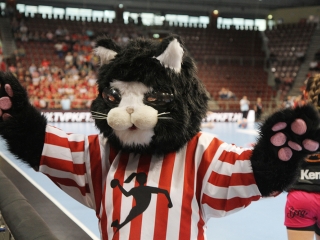 Európa csúcsán a DKKA - Képek Veszprémből - fotó: Sándor Judit