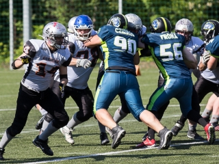 Amerikai Foci: Budapest Cowbells 2-t fogadtuk - fotó: Ónodi Zoltán