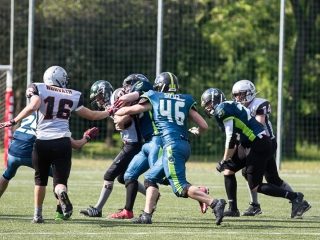 Amerikai Foci: Budapest Cowbells 2-t fogadtuk - fotó: Ónodi Zoltán