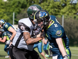 Amerikai Foci: Budapest Cowbells 2-t fogadtuk - fotó: Ónodi Zoltán