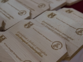 Birkózás: I. Tusják János Emlékverseny - fotó: Ónodi Zoltán