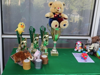 Akarat Ereje Kupa - fotó: Ónodi Zoltán