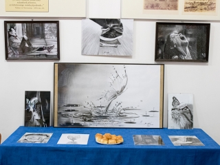 Jótékonysági kiállítás a Gutovszky család részére - fotó: Ónodi Zoltán