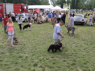 Családi Hétvége 2016 - Harmadik Nap: Gyereknap - fotó: Ónodi Zoltán