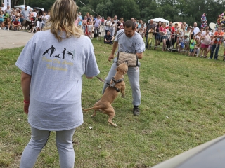 Családi Hétvége 2016 - Harmadik Nap: Gyereknap - fotó: Ónodi Zoltán