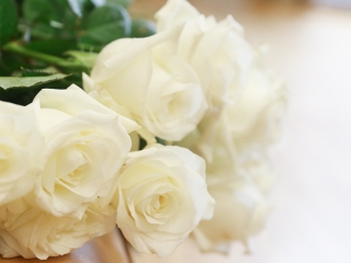 Pedagógusok kitüntetése - fotó: Ónodi Zoltán