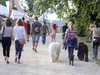 DUDIK 2016 - Második nap - fotó: Sándor Judit