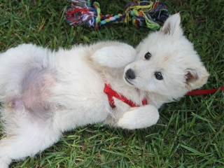 I. Dunaújvárosi Horgász-, Halászlé- és Halfőző Verseny - fotó: Sándor Judit