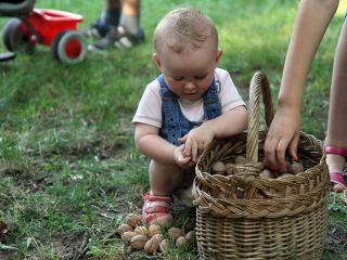 Ligetnyitó 2016 - fotó: Sándor Judit