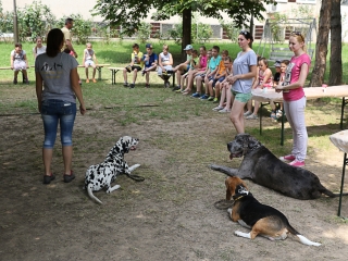 Így táboroznak az MMK-ban - fotó: Ónodi Zoltán
