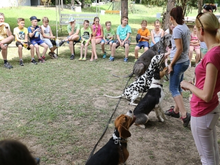 Így táboroznak az MMK-ban - fotó: Ónodi Zoltán