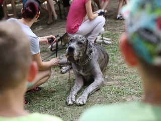 Így táboroznak az MMK-ban - fotó: Ónodi Zoltán