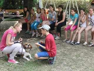 Így táboroznak az MMK-ban - fotó: Ónodi Zoltán