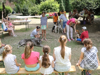 Így táboroznak az MMK-ban - fotó: Ónodi Zoltán