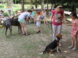 Így táboroznak az MMK-ban - fotó: Ónodi Zoltán
