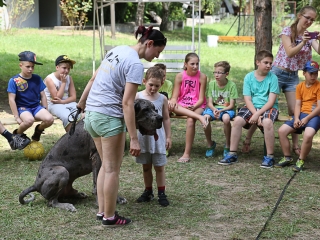 Így táboroznak az MMK-ban - fotó: Ónodi Zoltán