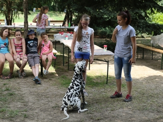 Így táboroznak az MMK-ban - fotó: Ónodi Zoltán