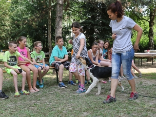 Így táboroznak az MMK-ban - fotó: Ónodi Zoltán