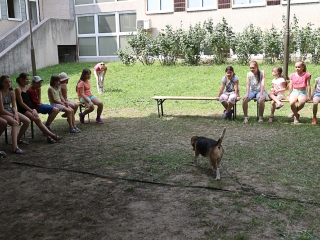 Így táboroznak az MMK-ban - fotó: Ónodi Zoltán