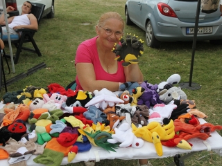 Földön és levegőben - Repülőnap 2016, Kisapostag - fotó: Sándor Judit