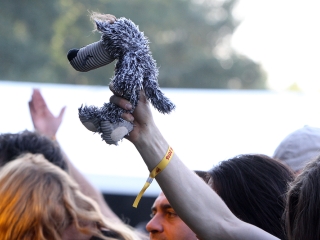 Rockmaraton 2016 - Második nap - fotó: Sándor Judit