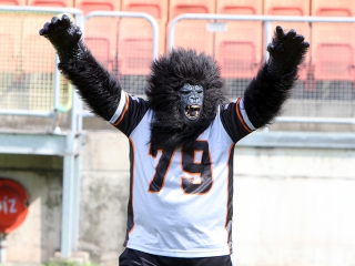 Bajnok lett a Gorillaz - fotó: Sándor Judit