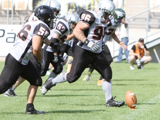 Bajnok lett a Gorillaz - fotó: Sándor Judit