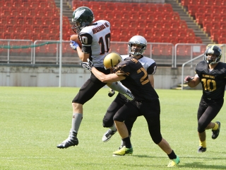 Bajnok lett a Gorillaz - fotó: Sándor Judit