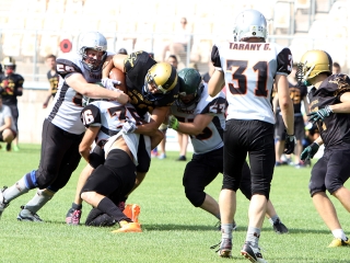 Bajnok lett a Gorillaz - fotó: Sándor Judit