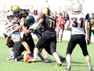 Bajnok lett a Gorillaz - fotó: Sándor Judit