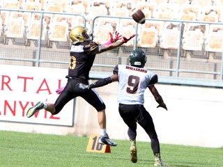 Bajnok lett a Gorillaz - fotó: Sándor Judit