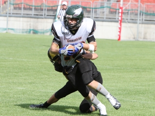 Bajnok lett a Gorillaz - fotó: Sándor Judit