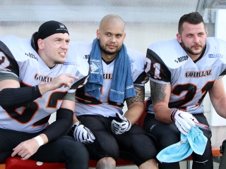 Bajnok lett a Gorillaz - fotó: Sándor Judit