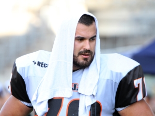 Bajnok lett a Gorillaz - fotó: Sándor Judit