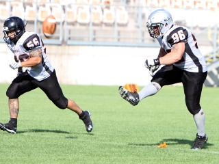 Bajnok lett a Gorillaz - fotó: Sándor Judit