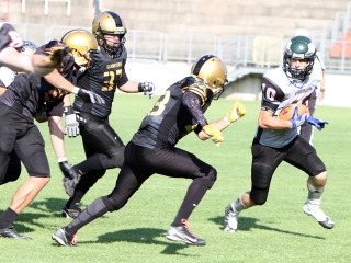 Bajnok lett a Gorillaz - fotó: Sándor Judit