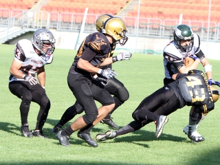 Bajnok lett a Gorillaz - fotó: Sándor Judit