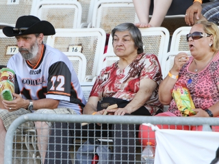 Bajnok lett a Gorillaz - fotó: Sándor Judit