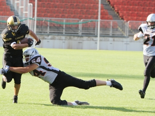 Bajnok lett a Gorillaz - fotó: Sándor Judit