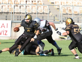 Bajnok lett a Gorillaz - fotó: Sándor Judit