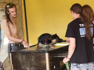 Rockmaraton 2016 - Negyedik nap - fotó: Ónodi Zoltán