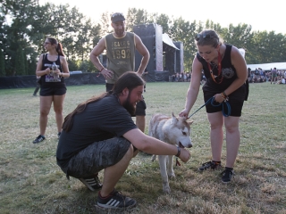 Rockmaraton 2016 - Negyedik nap - fotó: Ónodi Zoltán