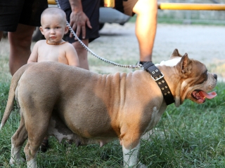 Rockmaraton 2016 - Ötödik nap - fotó: Sándor Judit