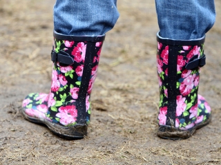 Rockmaraton 2016 - Kilencedik nap - fotó: Sándor Judit