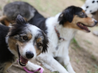MMK Táborzáró - fotó: Ónodi Zoltán