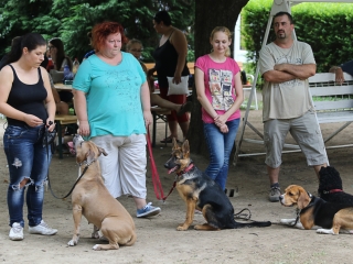 MMK Táborzáró - fotó: Ónodi Zoltán