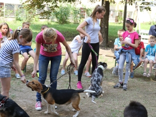 MMK Táborzáró - fotó: Ónodi Zoltán